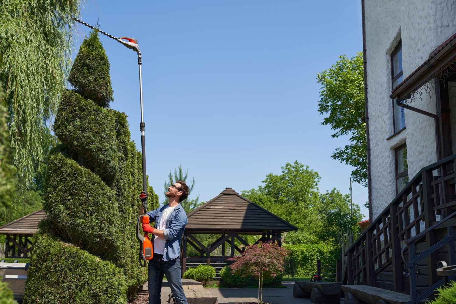 Trusted Spring Lake, MI Tree Service Experts